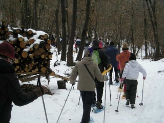  Nordic Walking mit Schneeschuhen 